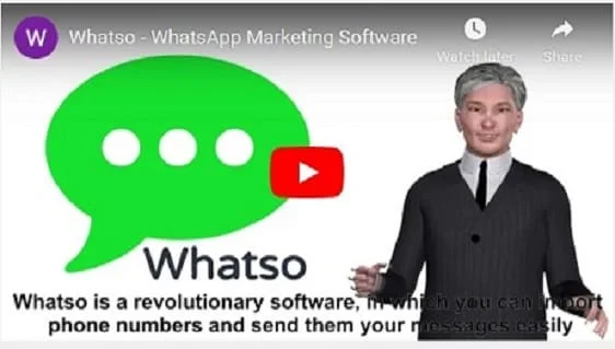 whatso brand